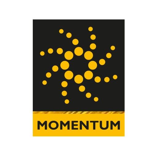 Momentum