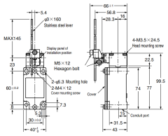 CNTD C4B-4117N Dar Gövde Açısal Kol Ayarlı Çubuk Limit Switch