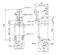 CNTD CWLCA2-2 Geniş Gövde Açısal Kol Metal Makaralı Limit Switch