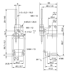CNTD CWLCL Geniş Gövde Açısal Kol Ayarlı Çubuklu Limit Switch