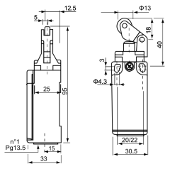 CNTD CZE-00-AM-SI Dar Gövde Doğrusal Pimli Limit Switch