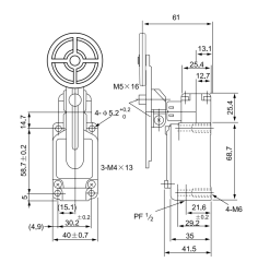 CNTD CWLCA12-2-QD Geniş Gövde Açısal Kol 50mm Kauçuk Makaralı Limit Switch