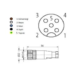 BNB-M1205FS-PG7 M12 5 Pin Düz Dişi Sensör Soketi